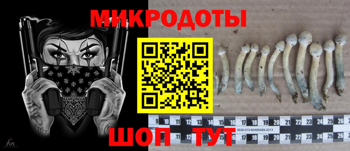 Псилоцибиновые грибы Cubensis  Вход с VPN  Мурино 