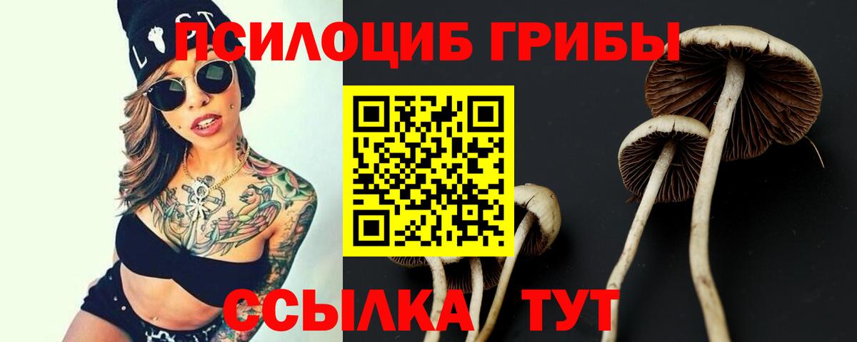 Галлюциногенные грибы мухоморы Мурино